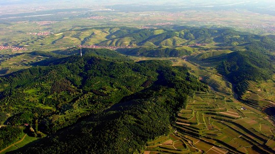 Can environmental left populism work? The case of the West German Green Party