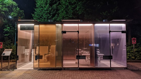 Public Toilets and Public Luxury