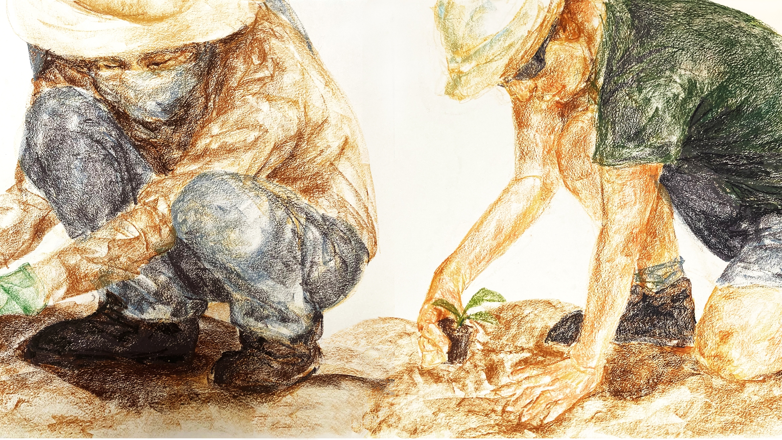 A coloured pencil illustration of two agricultural workers: one Thai and one Israeli. They are crouching down and tending to the soil.